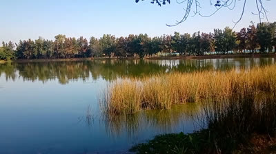 BAILANDO EN EL CIELO