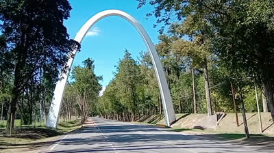 COMPAÑERA DE MI SOLEDAD